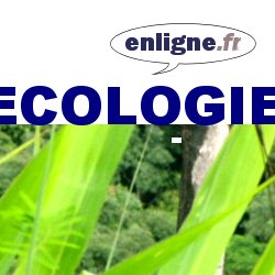 ecologie en ligne